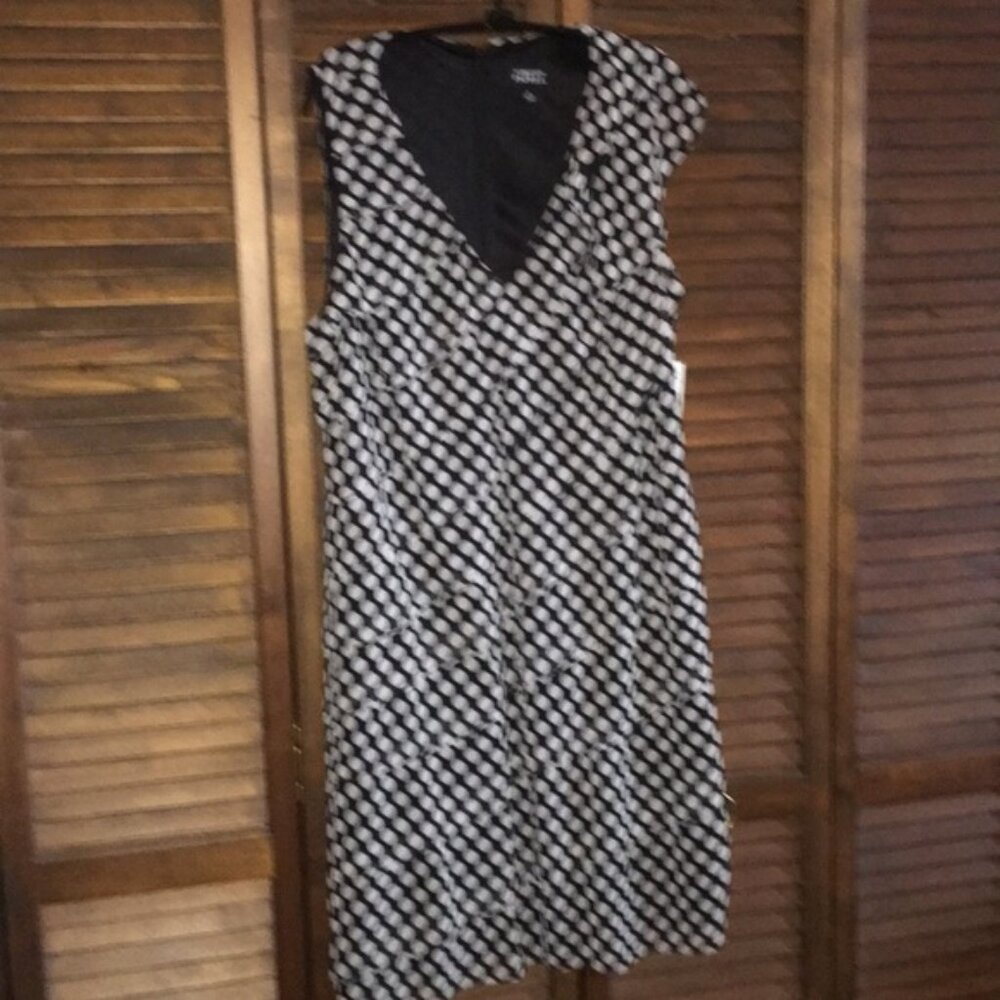 Adrianna Papell Dress